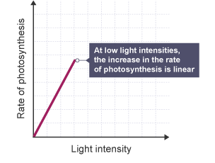 Graph showing how increasing the light intensity increases the rate of photosynthesis