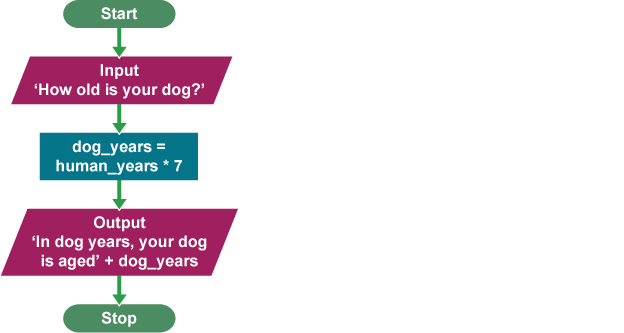 How do you calculate your age in dog years?