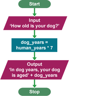 A flowchart asking for a dogs age will first ask for your dogs age and then based on the calculation that one human year is 7 dog years, work out how old your dog is in dog years.