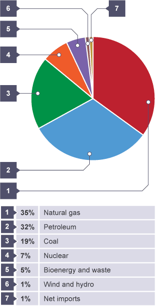 35% Natural gas, 32% Petroleum, 19% Coal, 7% Nuclear, 5% Bioenergy and waste, 1% Wind and hydro, 1% Net imports.