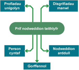 Siart corryn i gynrychioli prif nodweddion teithlyfr.