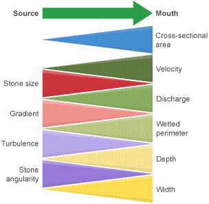 Increasing from source to mouth: cross-sectional area, velocity, discharge, wetted perimeter, depth, width. Decreasing from source to mouth: stone size, gradient, turbulence, stone angularity.