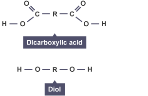 Covalent structures of dicarboxylic acid and diol.