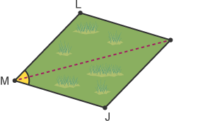 Field with dotted line through point M, creating 2 identical angles