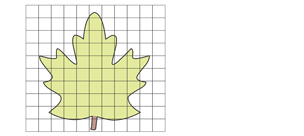 Leaf on graph paper