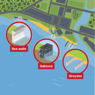 Infographic showing coastal management methods in Newcastle including sea walls, gabions and groynes.