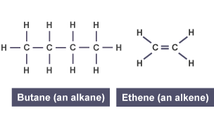 Butane and ethene are formed.