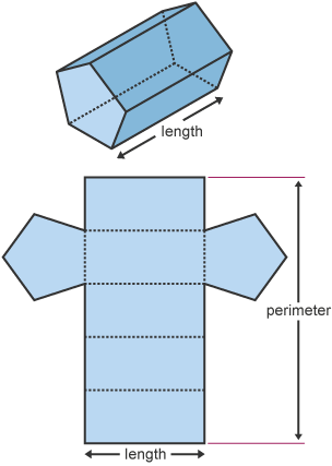 A prism net with sides labelled as length and perimeter