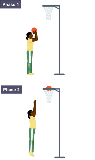 Two phases of a netball shot and how the muscular-skeletal system works together to make this shot possible.