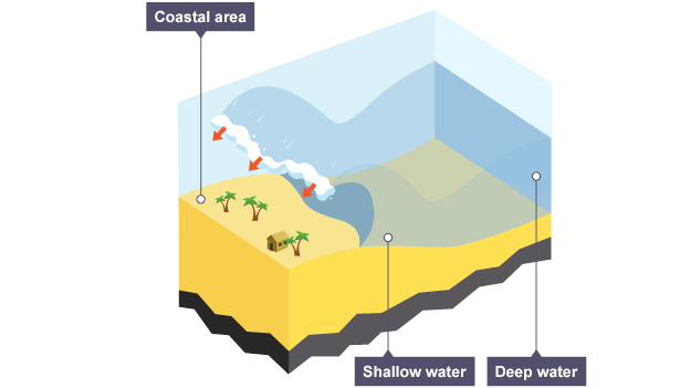 Tsunamis