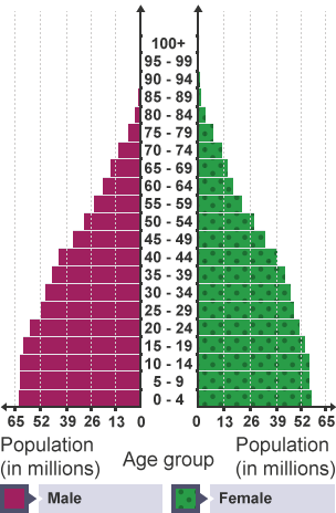 Pyramid graph showing the age range of the Indian population in 2012.