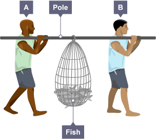 Two people are at each end of a pole which they are using to lift a net full of fish.