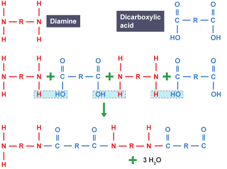 Molecular structure of a polyamide