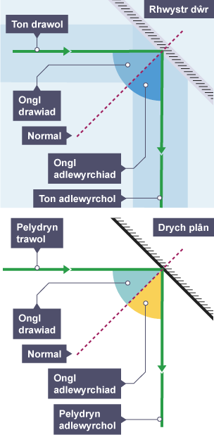 Diagram yn dangos tonnau’n cael eu hadlewyrchu gan rwystr dŵr a phelydr o olau yn cael ei adlewyrchu gan ddrych plân, sy'n dangos yn y ddau achos bod ongl y trawiad yn hafal i ongl yr adlewyrchiad.