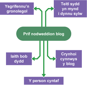 Siart corryn i gynrychioli prif nodweddion blog.