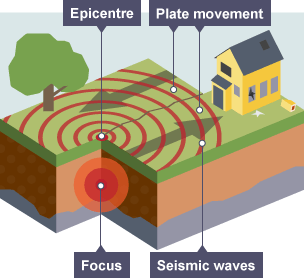 An illustration of how seismic waves moves through the earth