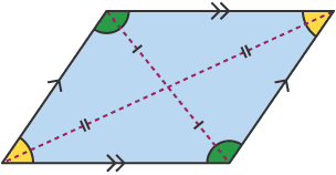 Lines that come from each corner of a parallelogram, meet at a point in the centre