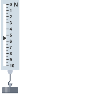 A newton meter showing the force of 5.5 N