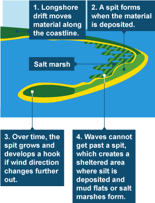 Spits - Coastal landforms - CCEA - GCSE Geography Revision - CCEA - BBC  Bitesize