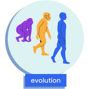 three figures showing evolution of man 