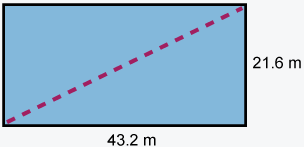 43.2 m by 21.6 m rectangle with dotted line splitting into two similarly sized triangles