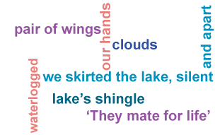 Word cloud of keywords and phrases from the poem Winter Swans