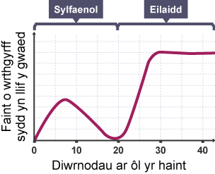 Graff llinell yn dangos faint o wrthgyrff sydd yn llif y gwaed (echelin-y) wrth Diwrnodau ar ôl yr haint (echelin-x)