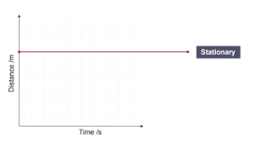 A distance-time graph with a single straight line representing a stationary object.