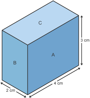 View of a cuboid and its measurements in order to find the surface area