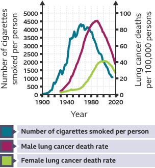 A graph showing the various cases of lung cancer that cause death.