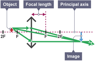 Three light rays extend out from the object arrows and cross the lens. These cross on the other side of the lens under a larger green arrow that is labelled 'image'.