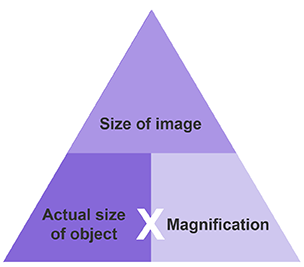 Microscopy triangle