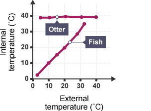 Graph showing the internal temperature of a fish and an otter when the external temperature changes