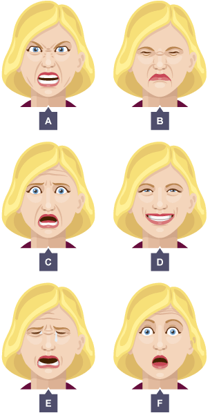 A: grimacing face. B: wincing face. C: scared looking/startled face. D: smiling face. E: crying face. F: startled face