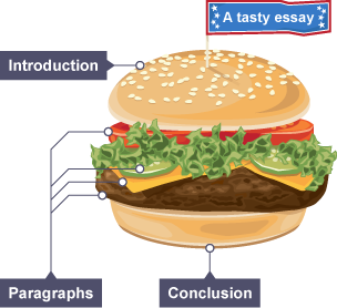 A burger made up of several layers representing introduction, paragraphs and conclusion when structuring an essay.