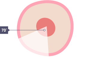 Diagram of a cell cycle. From it, the time spent in mitosis can be calculated