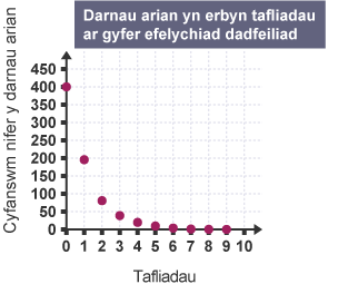 Graff: ‘Ddarnau arian yn erbyn tafliadau ar gyfer efelychiad dadfeiliad’. Mae ‘Cyfanswm nifer y darnau arian’ ar yr echelin-y yn mynd o 0 i 450. Mae’r ‘Tafliadau’ ar yr echelin-x yn mynd o 0 i 10.