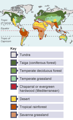 Animal adaptation to the tundra climage - Tundra regions of the world - 3rd  level Geography Revision - BBC Bitesize