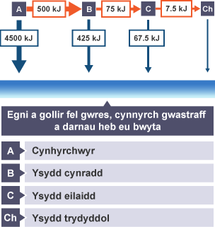 Trosglwyddo egni rhwng cynhyrchwyr, ysyddion cynradd, ysyddion eilaidd ac ysyddion trydyddol