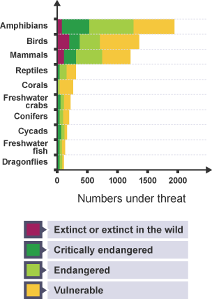 A bar chart showing species under threat