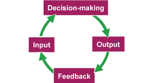 The information processing model, comprising input, decision-making, output and feedback.