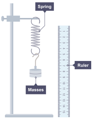 Equipment set up to demonstrate Hooke's Law. Masses are added to the spring. The extension is measured on a ruler. 