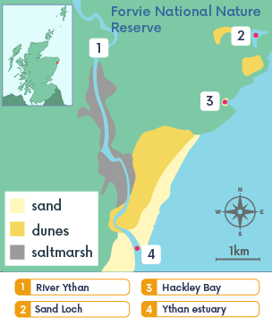 Map of Forvie Sands National Nature Reserve