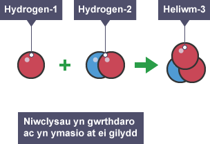 Mae niwclews Hydrogen-1 yn gwrthdaro â niwclews Hydrogen-2 gan gynhyrchu Heliwm-3.