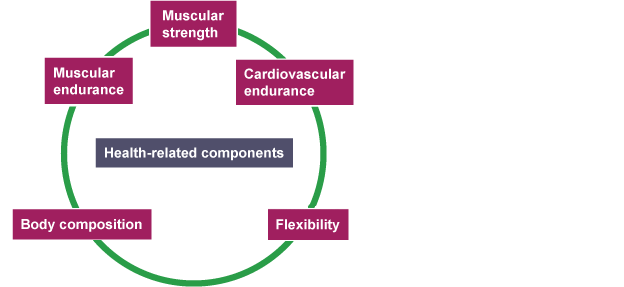 Fitness tests for different components of fitness - Keeping fit and healthy  - AQA - GCSE Physical Education Revision - AQA - BBC Bitesize