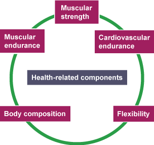 Fitness components