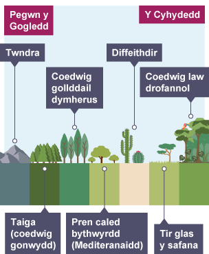 Mae ecosystemau yn newid wrth fynd o Begwn y Gogledd i’r Cyhydedd: twndra, taiga, coedwig gollddail dymherus, pren caled bythwyrdd, diffeithdir, tir glas y safana, coedwig law drofannol.