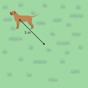 A dog standing on grass with a line measuring 3 m pointing towards it