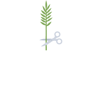 Diagram of how to conduct an experiment of how to find the rate of water uptake in a plant