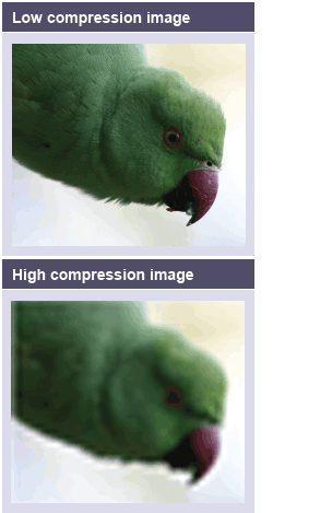 Low compression image showing high detail contrasted with poor detail on high compression image.